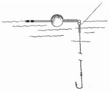 ris03