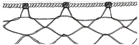 ris06