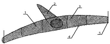 ris08