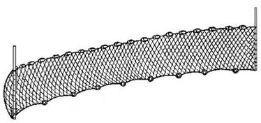 ris10