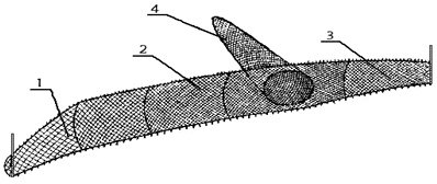 ris11