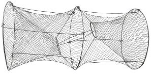 ris15