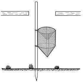 ris19